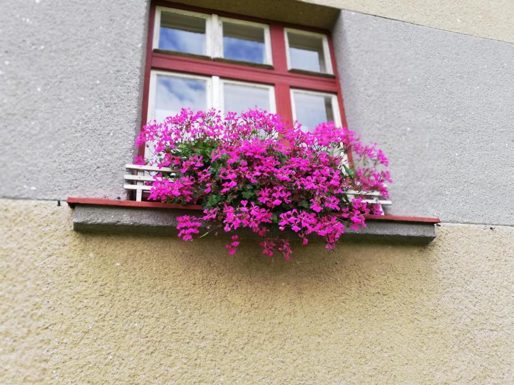 Villa Oliva Český Krumlov Kültér fotó